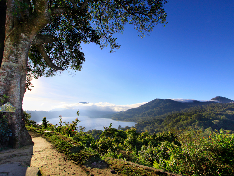 Bali: Between Temples and Waterfalls (private) — 5